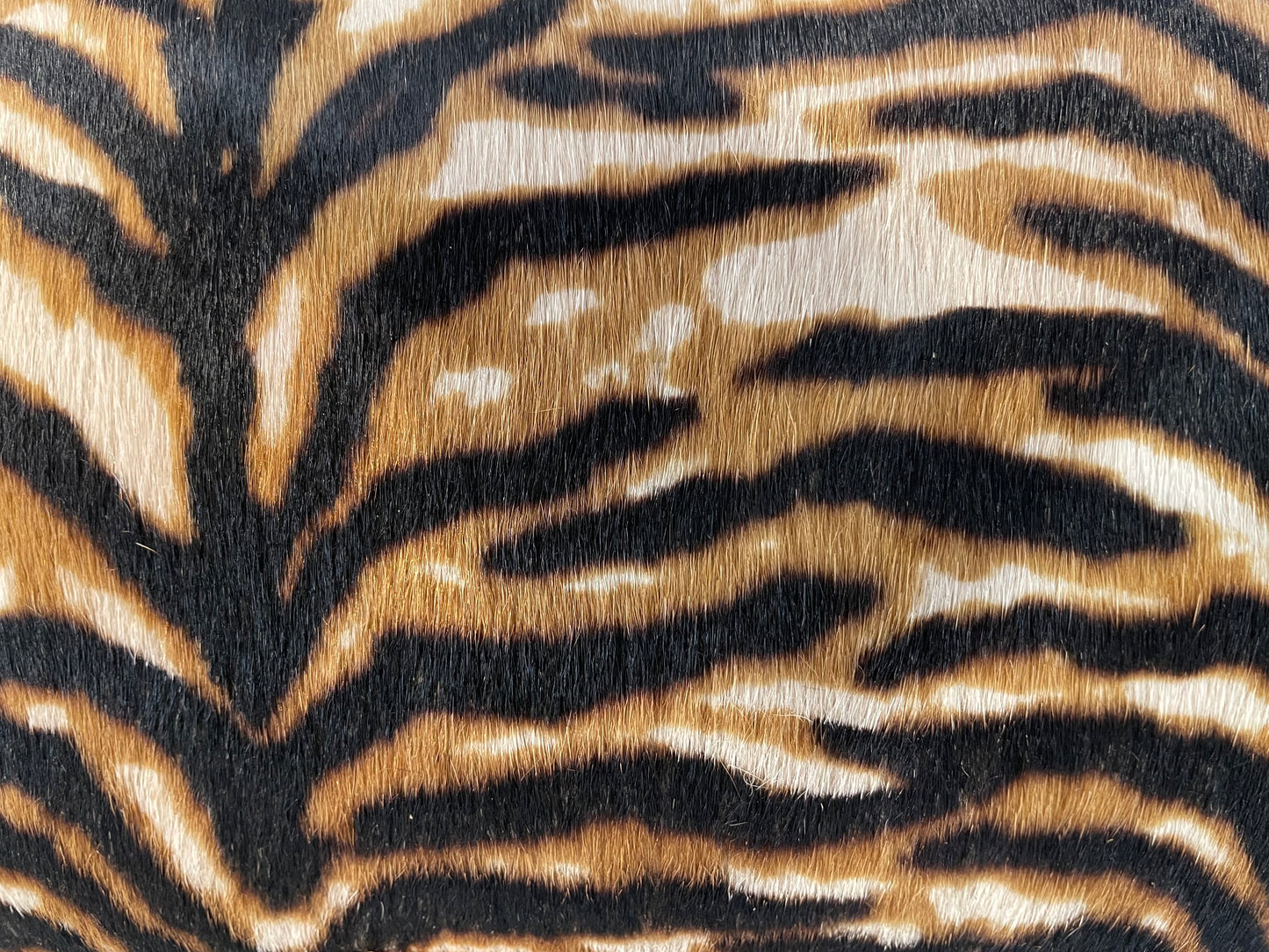 Tiger Print