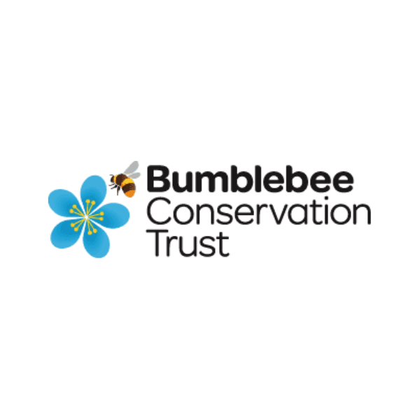 Help us support the Bumblebee Conservation Trust - Will Bees Bespoke