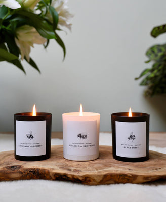 Candle - Lime Basil & Pomelo - Will Bees Bespoke