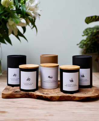 Candle - Lime Basil & Pomelo - Will Bees Bespoke