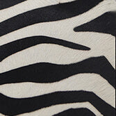 Bum Bag - Zebra - Will Bees Bespoke